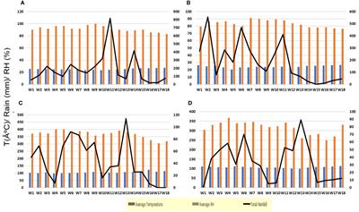Timing of oomycete-specific fungicide application impacts the efficacy against fruit rot disease in arecanut